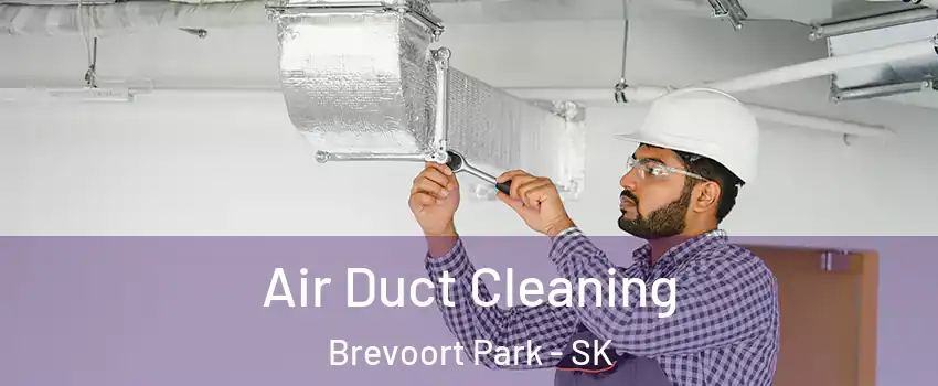 Air Duct Cleaning Brevoort Park - SK