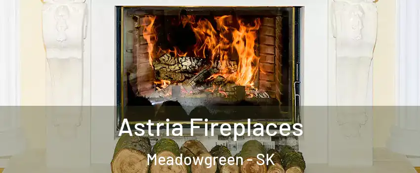  Astria Fireplaces Meadowgreen - SK