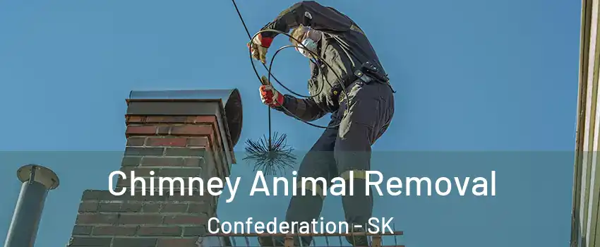 Chimney Animal Removal Confederation - SK
