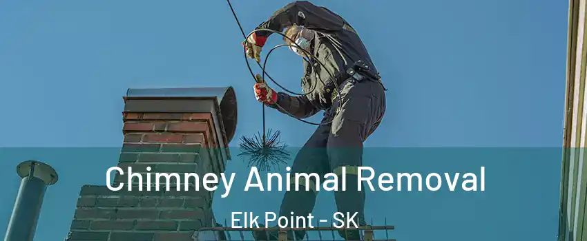 Chimney Animal Removal Elk Point - SK