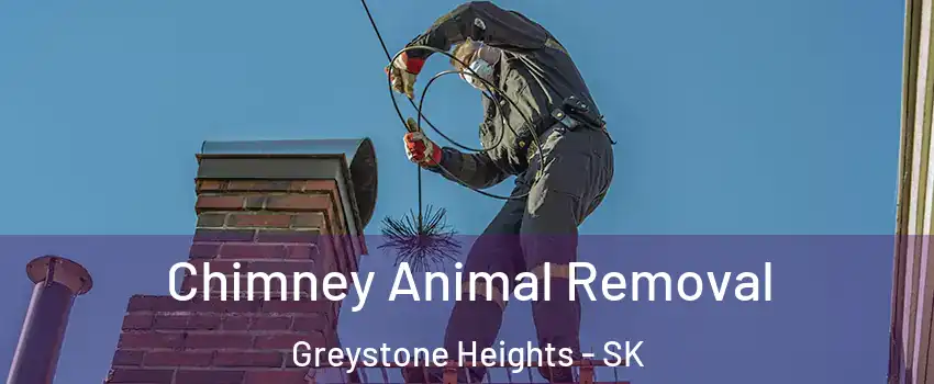 Chimney Animal Removal Greystone Heights - SK