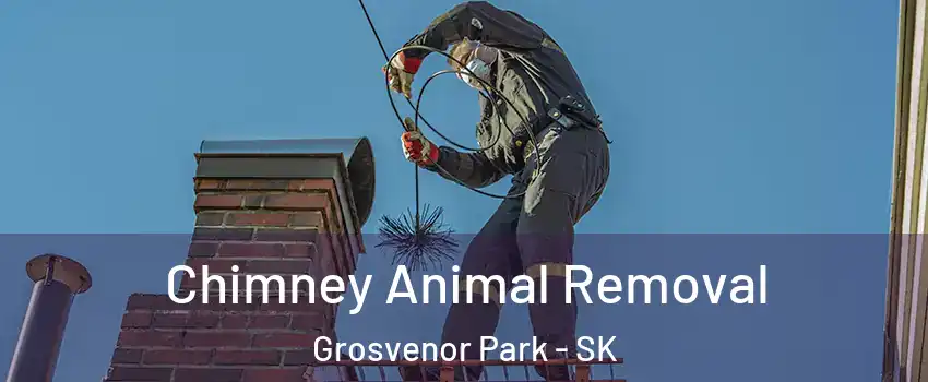 Chimney Animal Removal Grosvenor Park - SK
