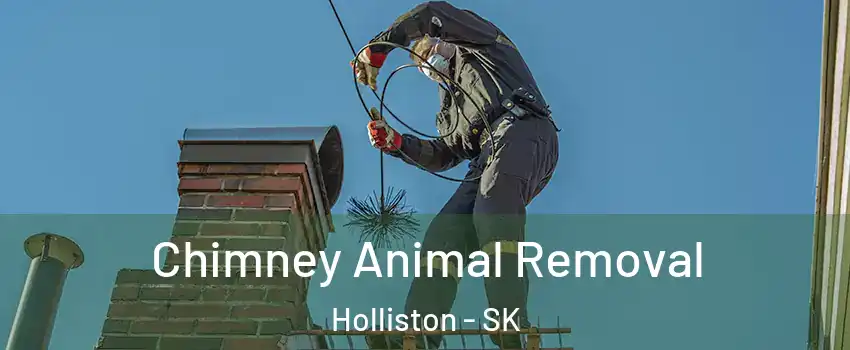 Chimney Animal Removal Holliston - SK