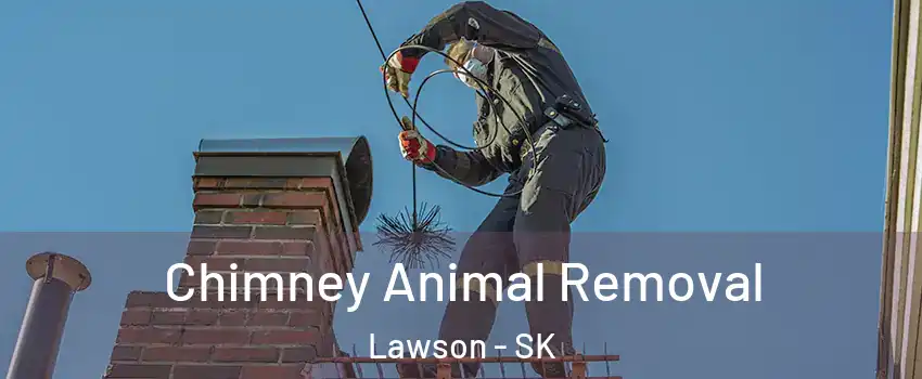 Chimney Animal Removal Lawson - SK