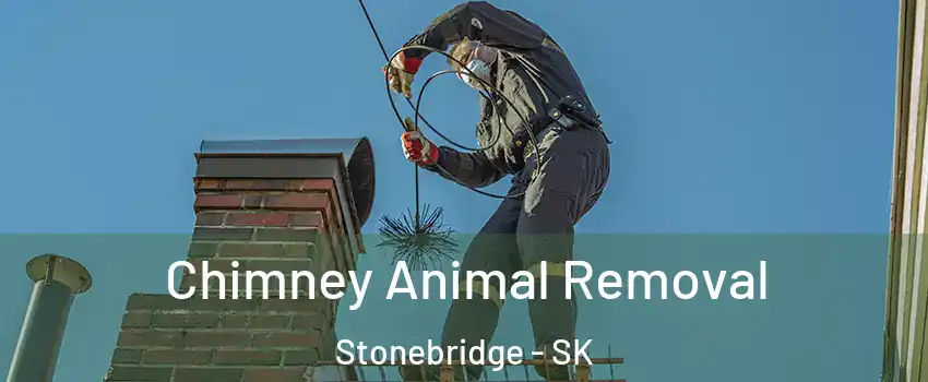 Chimney Animal Removal Stonebridge - SK