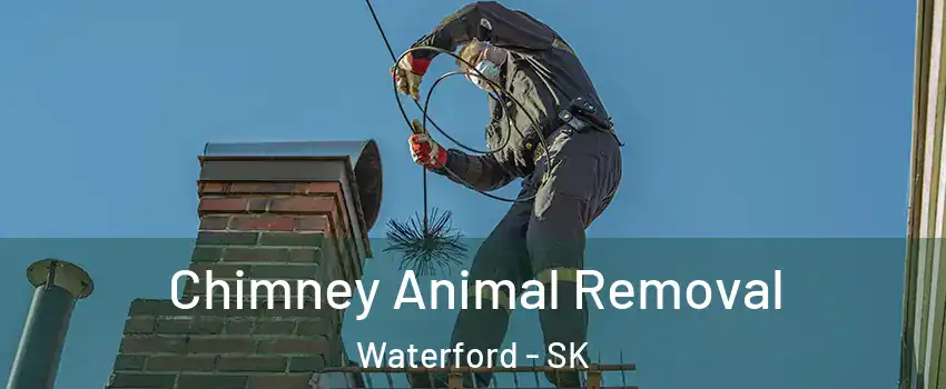 Chimney Animal Removal Waterford - SK