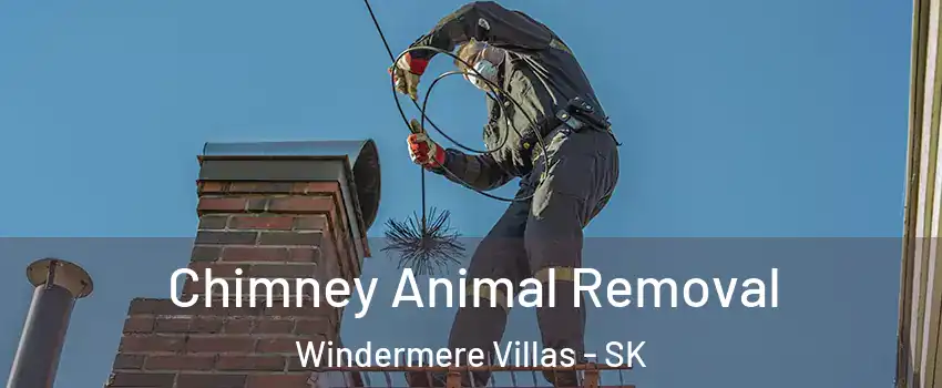 Chimney Animal Removal Windermere Villas - SK