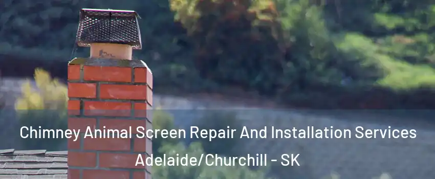 Chimney Animal Screen Repair And Installation Services Adelaide/Churchill - SK