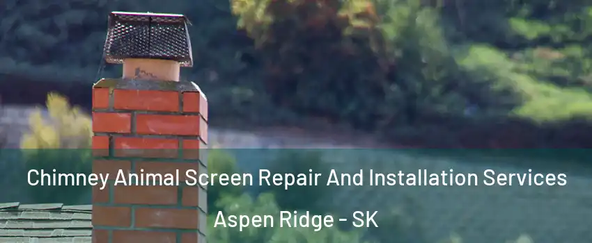  Chimney Animal Screen Repair And Installation Services Aspen Ridge - SK