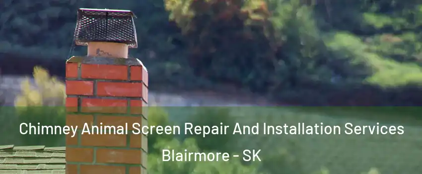  Chimney Animal Screen Repair And Installation Services Blairmore - SK