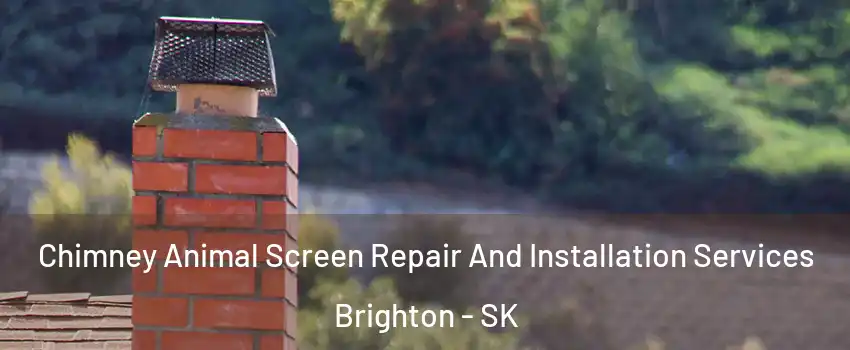  Chimney Animal Screen Repair And Installation Services Brighton - SK