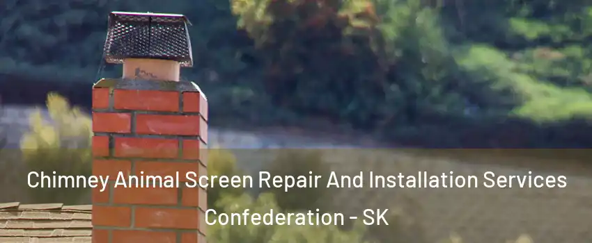  Chimney Animal Screen Repair And Installation Services Confederation - SK