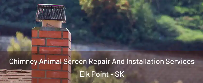  Chimney Animal Screen Repair And Installation Services Elk Point - SK