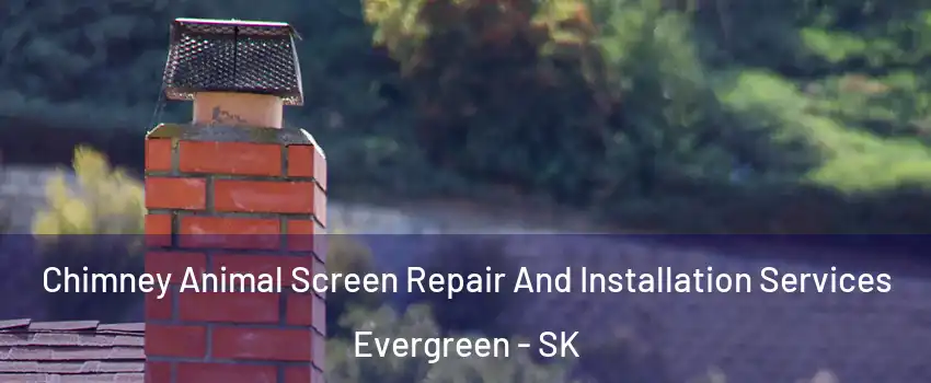  Chimney Animal Screen Repair And Installation Services Evergreen - SK
