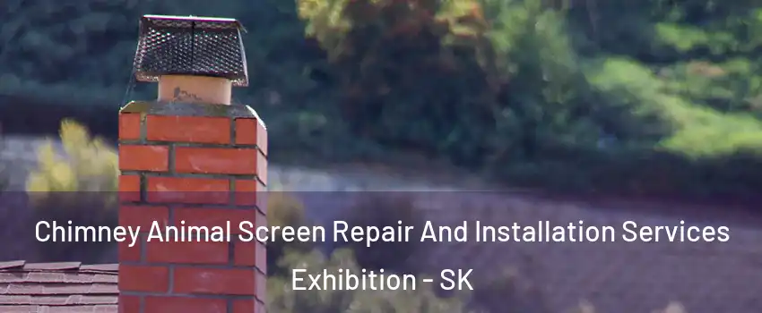  Chimney Animal Screen Repair And Installation Services Exhibition - SK