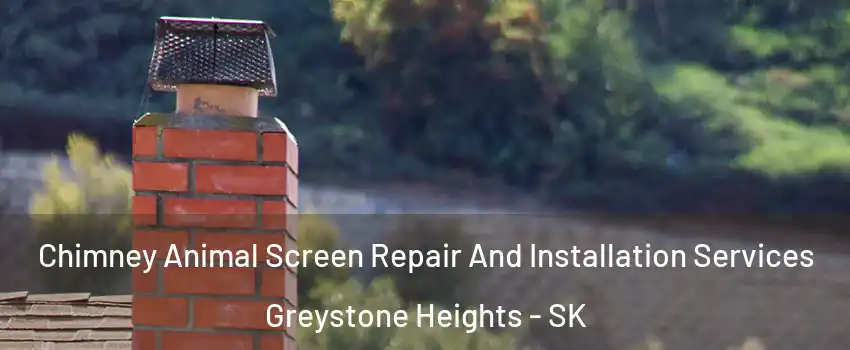  Chimney Animal Screen Repair And Installation Services Greystone Heights - SK