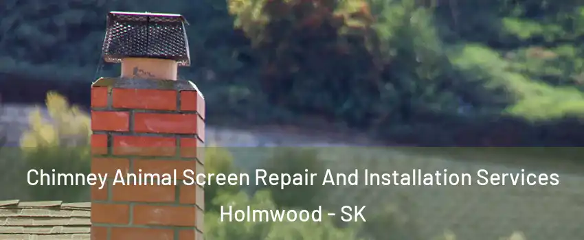  Chimney Animal Screen Repair And Installation Services Holmwood - SK
