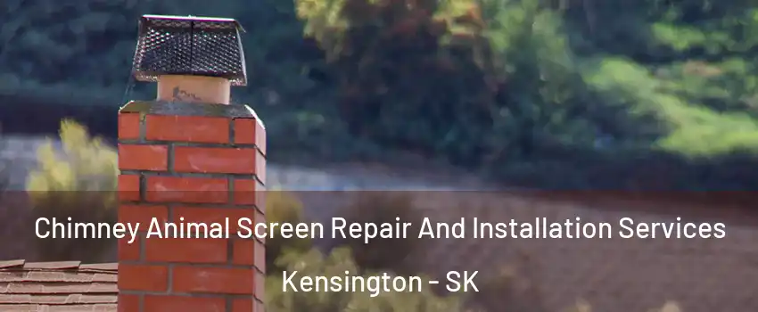  Chimney Animal Screen Repair And Installation Services Kensington - SK