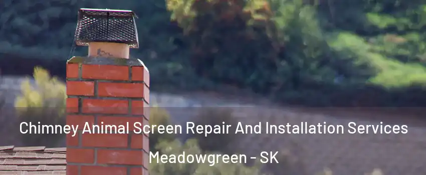  Chimney Animal Screen Repair And Installation Services Meadowgreen - SK