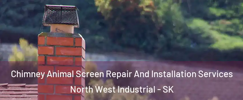  Chimney Animal Screen Repair And Installation Services North West Industrial - SK