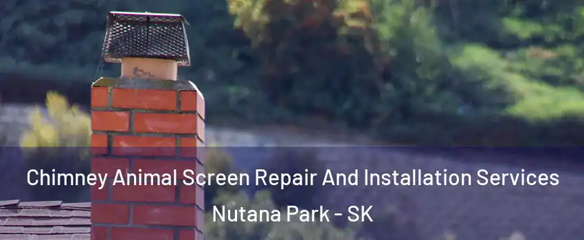  Chimney Animal Screen Repair And Installation Services Nutana Park - SK