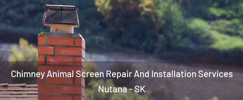  Chimney Animal Screen Repair And Installation Services Nutana - SK