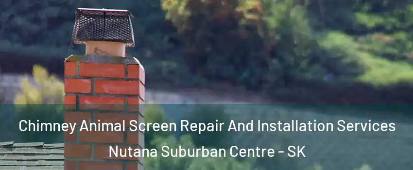  Chimney Animal Screen Repair And Installation Services Nutana Suburban Centre - SK