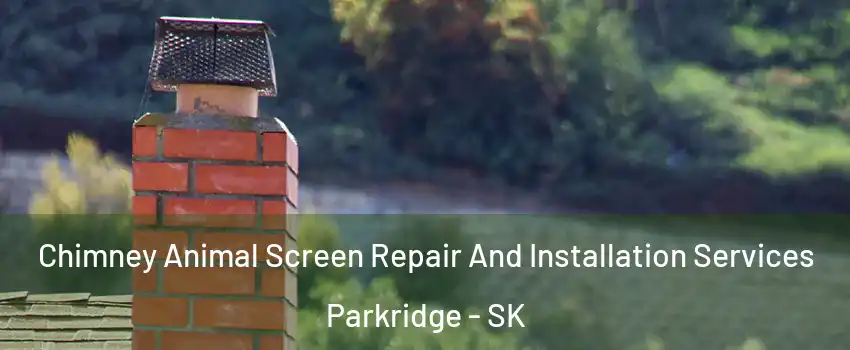  Chimney Animal Screen Repair And Installation Services Parkridge - SK