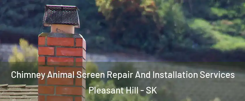  Chimney Animal Screen Repair And Installation Services Pleasant Hill - SK