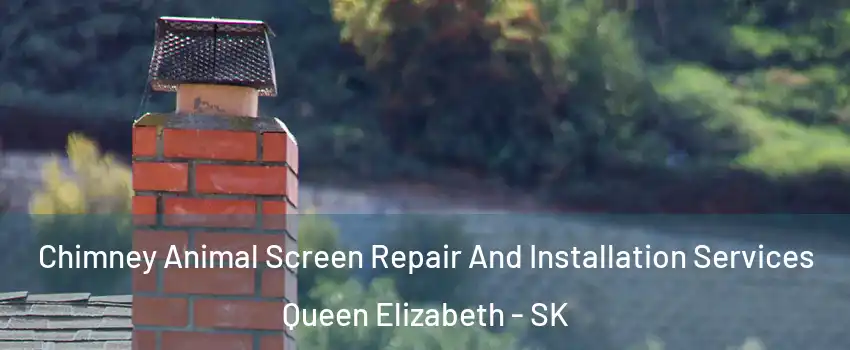  Chimney Animal Screen Repair And Installation Services Queen Elizabeth - SK