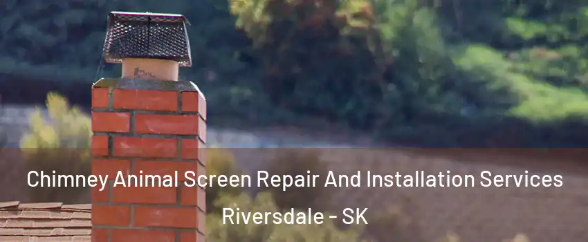  Chimney Animal Screen Repair And Installation Services Riversdale - SK