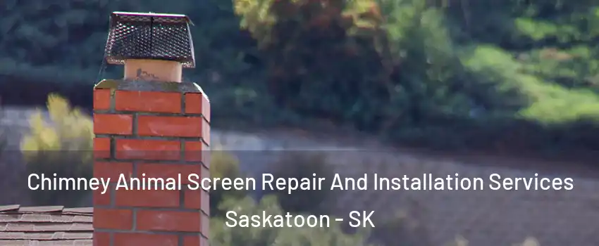  Chimney Animal Screen Repair And Installation Services Saskatoon - SK