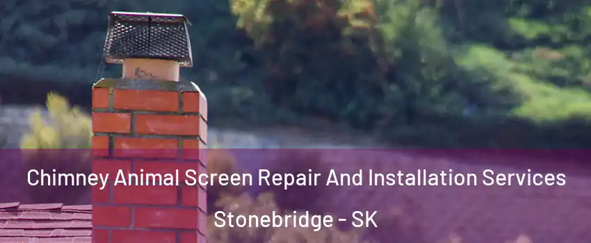  Chimney Animal Screen Repair And Installation Services Stonebridge - SK