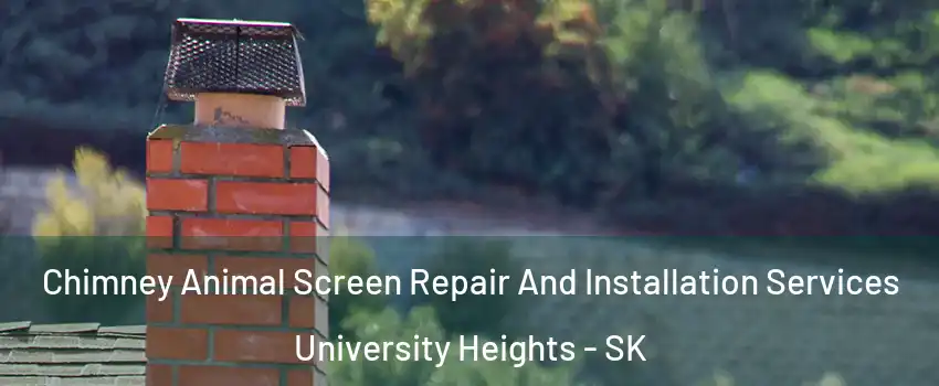  Chimney Animal Screen Repair And Installation Services University Heights - SK