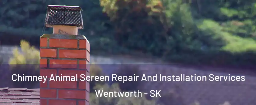  Chimney Animal Screen Repair And Installation Services Wentworth - SK