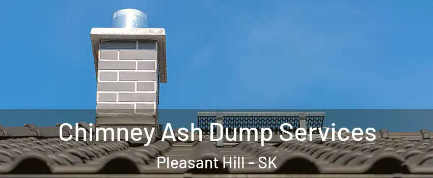 Chimney Ash Dump Services Pleasant Hill - SK