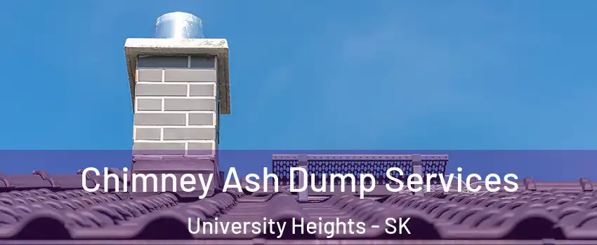  Chimney Ash Dump Services University Heights - SK