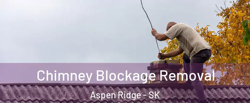  Chimney Blockage Removal Aspen Ridge - SK