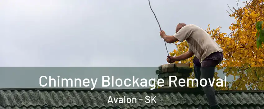  Chimney Blockage Removal Avalon - SK
