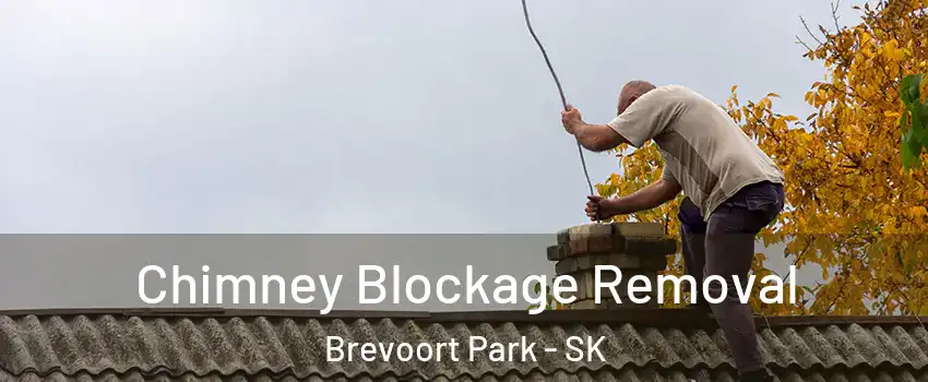  Chimney Blockage Removal Brevoort Park - SK