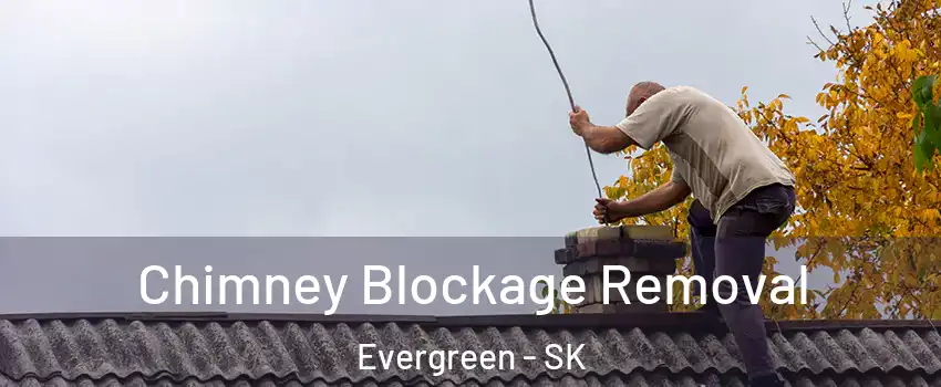  Chimney Blockage Removal Evergreen - SK