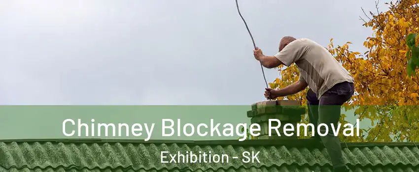  Chimney Blockage Removal Exhibition - SK