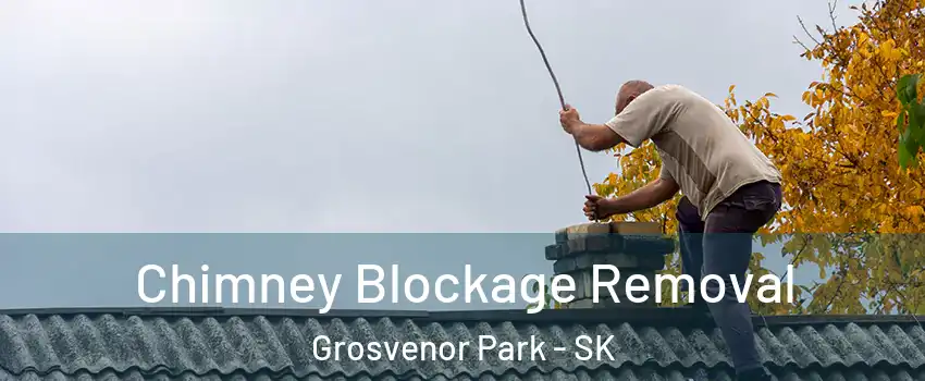  Chimney Blockage Removal Grosvenor Park - SK