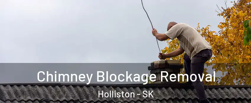  Chimney Blockage Removal Holliston - SK