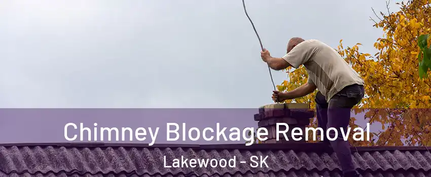  Chimney Blockage Removal Lakewood - SK