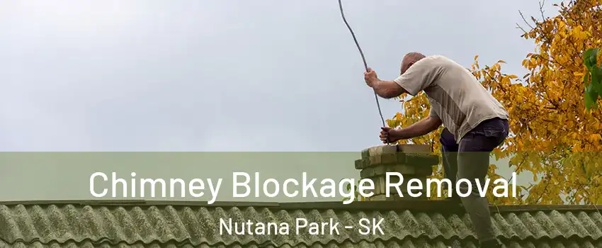  Chimney Blockage Removal Nutana Park - SK