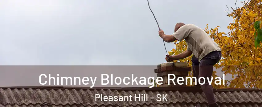  Chimney Blockage Removal Pleasant Hill - SK