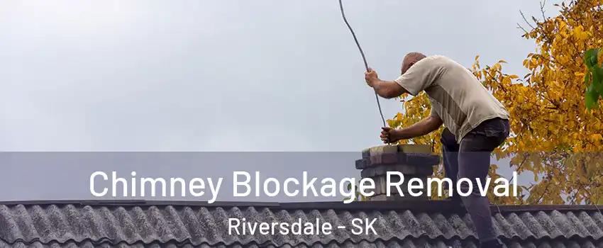  Chimney Blockage Removal Riversdale - SK