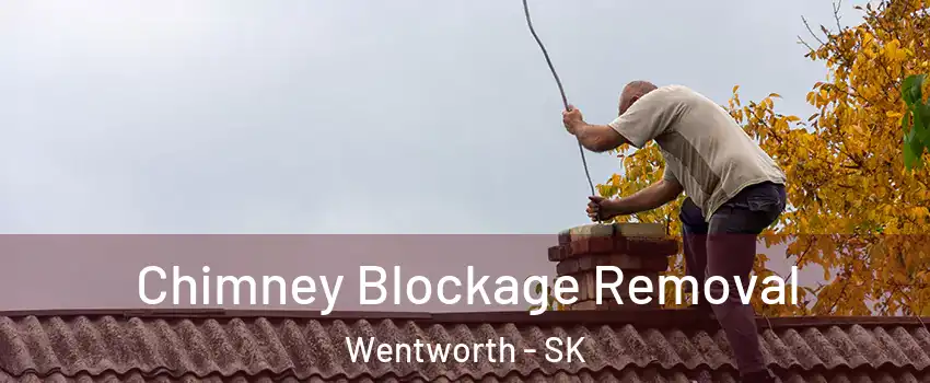  Chimney Blockage Removal Wentworth - SK