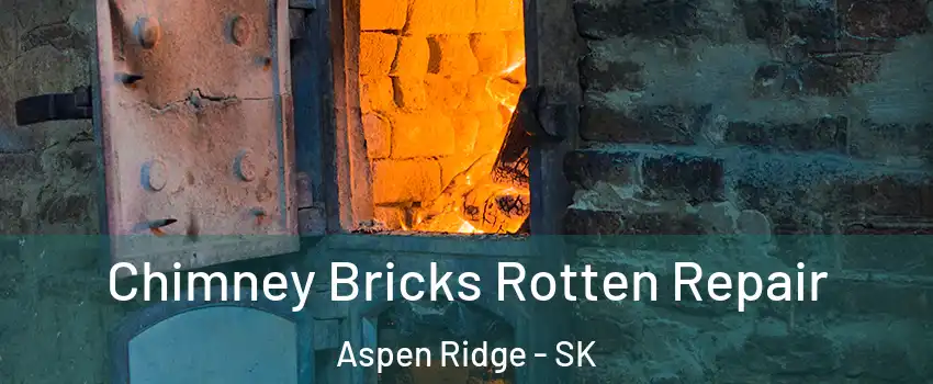  Chimney Bricks Rotten Repair Aspen Ridge - SK